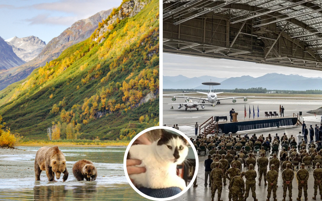 Саміт дурнів. Аляска – найкраще місце в світі для ліквідації когось із лідерів – Ендрю Таннер