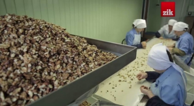 На корупційних схемах експорту горіхів податкова заробляє $200 млн в рік, - відео