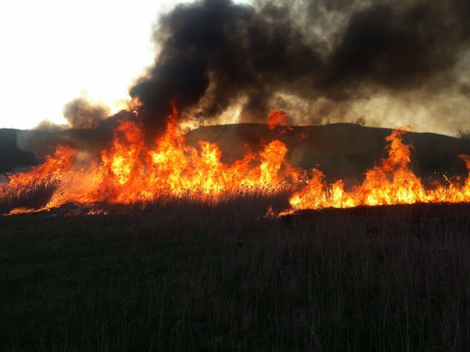 Спасатели предупреждают о чрезвычайной пожарной опасности на территории Украины