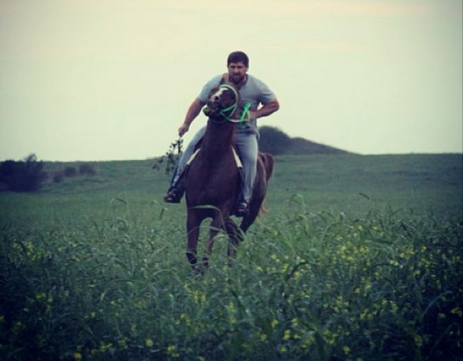 Лошади Кадырова тоже попали под санкции ЕС