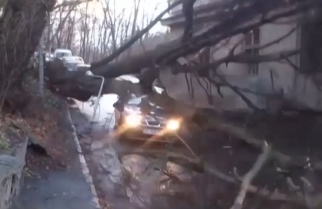 Ураган во Львове поломал деревья и повредил железнодорожные линии электропередач