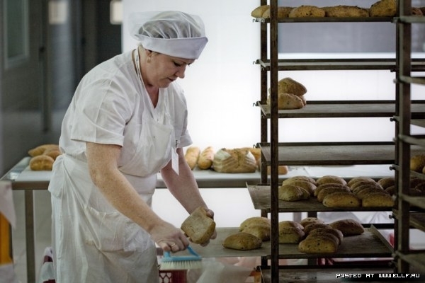 Аграрный фонд заключил сделки с 212 хлебопекарными предприятиями на реализацию муки