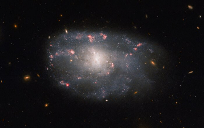 Hubble сфотографував галактику у сузір’ї Великої Ведмедиці