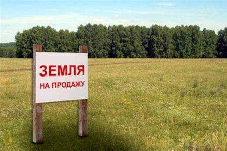 Яценюк вилучив з програми уряду закон про продаж землі
