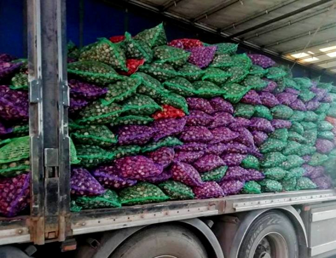 Киевляне собрали 45 тонн каштанов для фармакологических компаний