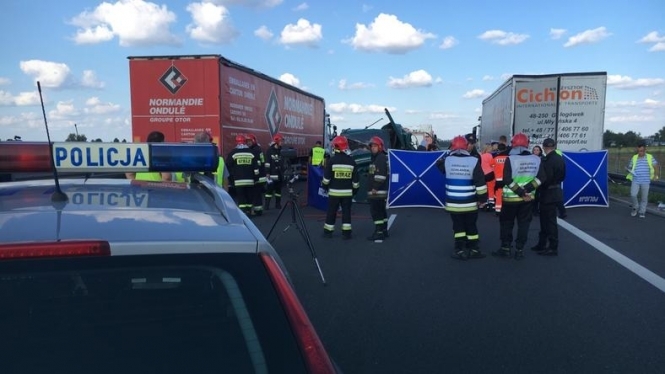 В аварії автобуса з українськими номерами в Польщі загинули п'ятеро людей