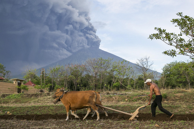 На острове Бали из-за извержения вулкана до сих пор заблокированы десятки тысяч туристов