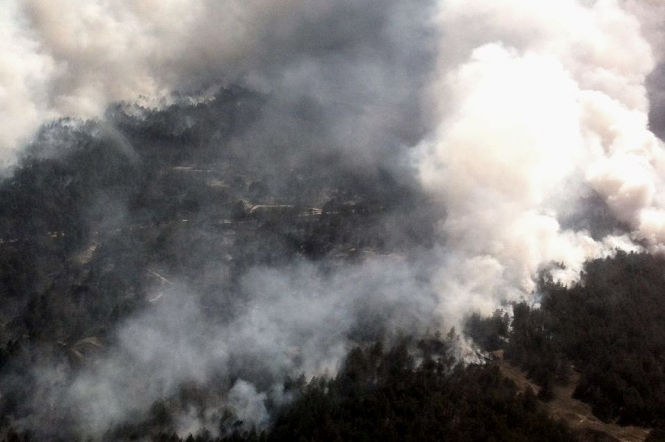 На Херсонщині триває гасіння пожежі в лісі