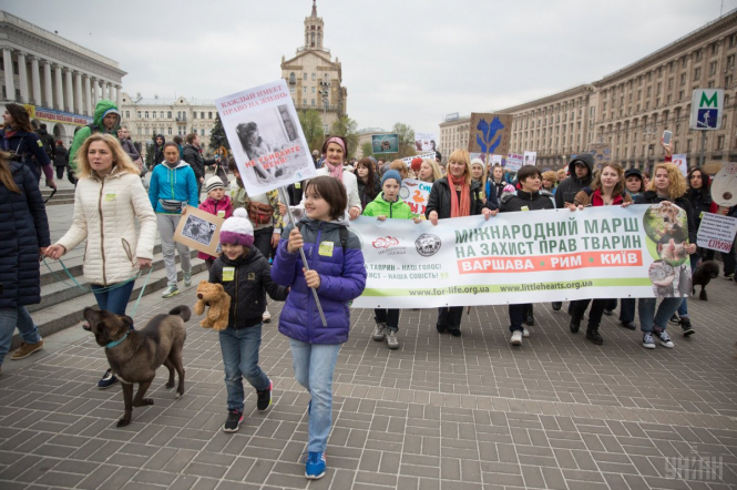 В Киеве и других городах Украины прошла акция в поддержку гуманного отношения к животным