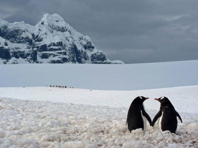 В Антарктиде ледник, который соответствует 4% от глобального повышения уровня моря, тает быстрее
