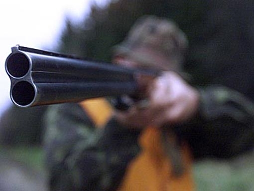На Киевщине мужчина обстрелял детей из ружья за  