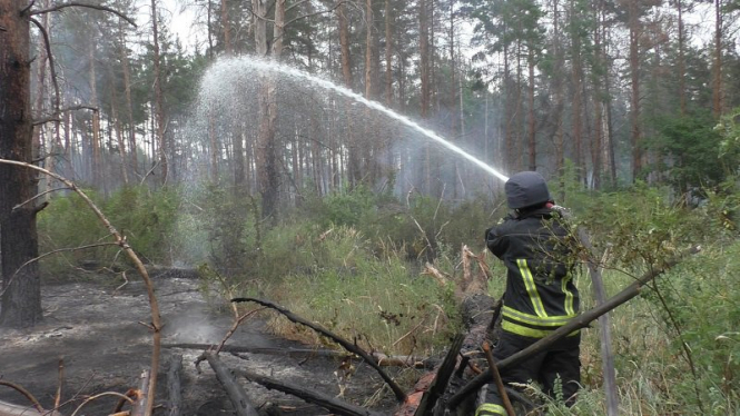 Пожежу у замінованому лісі під Станицею Луганською загасили