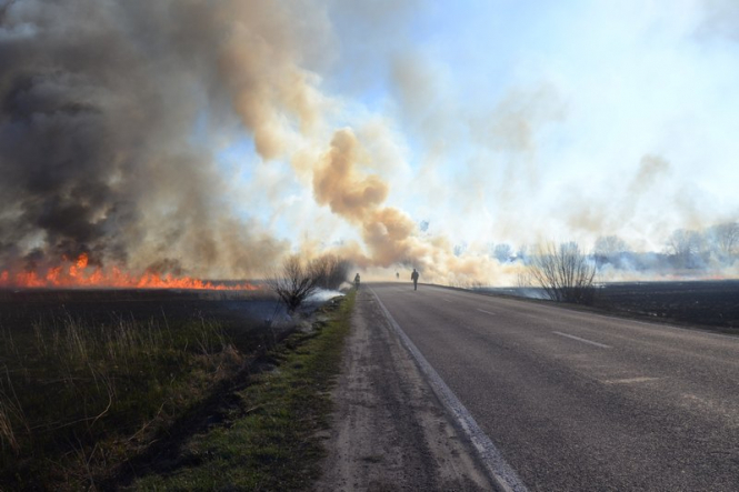 Триває локалізація лісових пожеж у шести лісництвах Чорнобильської зони
