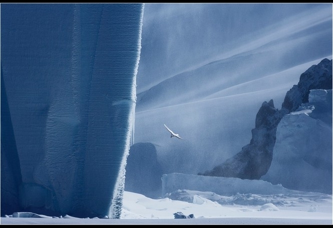 В Антарктиді може утворитися найбільший на Землі айсберг