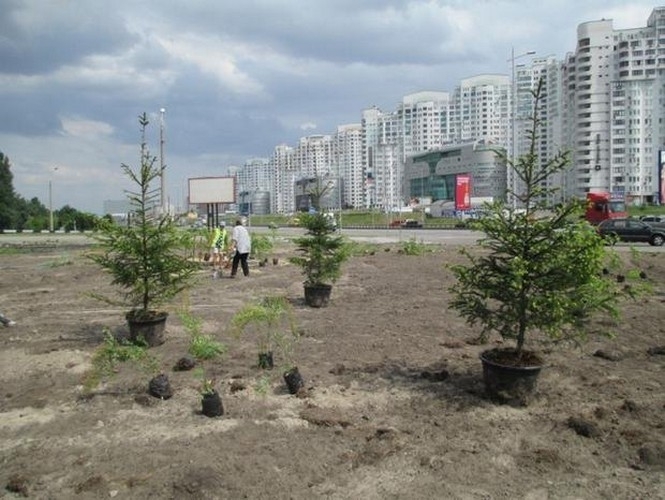 КМДА облаштовує сквер на місці скандальної забудови на Осокорках, - фото