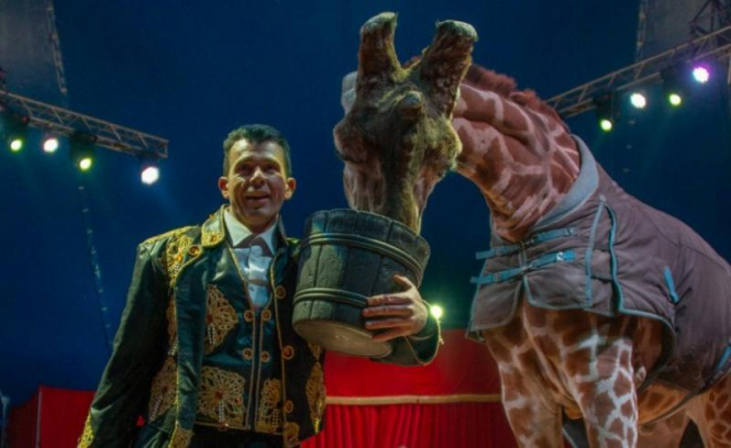 В Ровно запретили передвижные цирки с животными