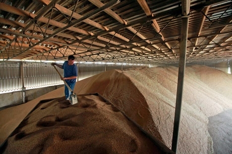 У 2013 році на зовнішні ринки було поставлено 18,5 млн тонн зернових нового врожаю