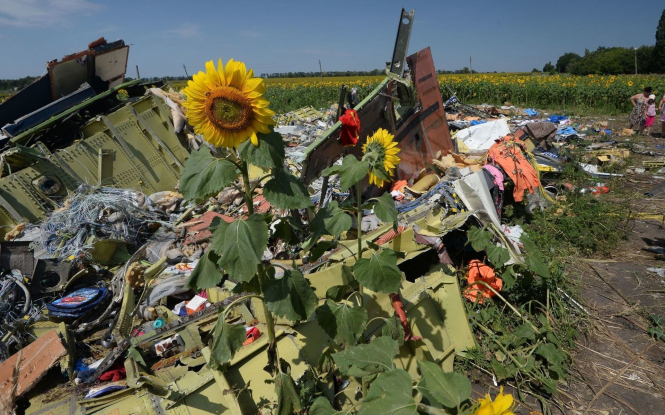 Семьи жертв катастрофы MH17 просят Трампа добиться от Путина правды