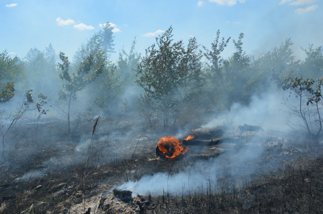 На Дніпропетровщині пожежники загасили масштабну пожежу на полігоні