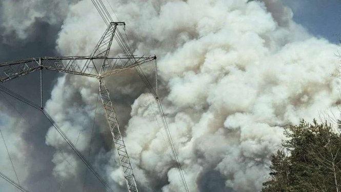 У Чорнобильській зоні виникла масштабна лісова пожежа