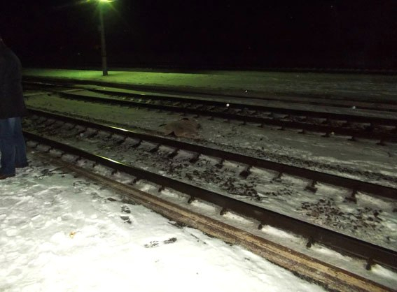В Ровенской области семья пыталась успеть на поезд: мать погибла, сын в больнице