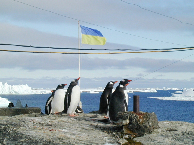 Міносвіти збирає команду 26-ї експедиції в Антарктиду — конкурс вже оголосили