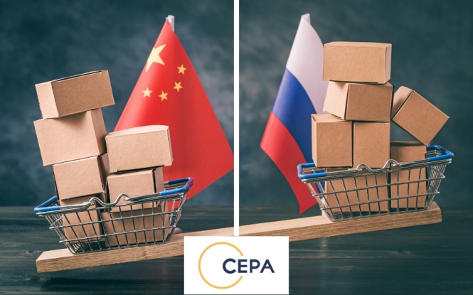 Китайсько-російська метазагроза. Архітектура авторитарної влади – CEPA 