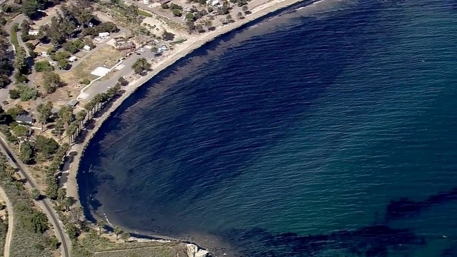 Біля узбережжя Каліфорнії вилилося 80 тисяч літрів нафти, - відео
