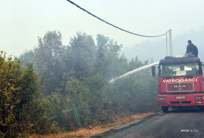 НАТО поможет Черногории бороться с лесными пожарами