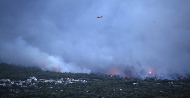 Кількість загиблих від лісових пожеж у Греції перевищує 60 осіб
