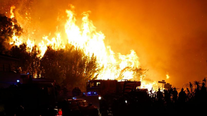 Во Франции бушуют сильные лесные пожары