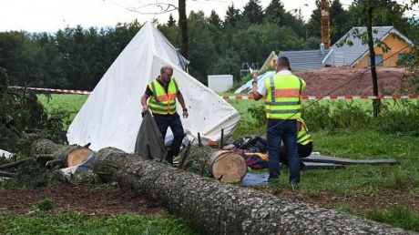 У Німеччині внаслідок негоди дерево вбило підлітка 