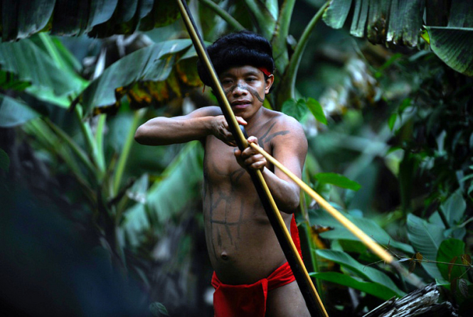В Бразилии убили по меньшей мере десяти членов изолированного племени