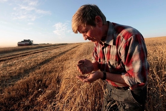 Україна відновила рекорд з експорту зерна