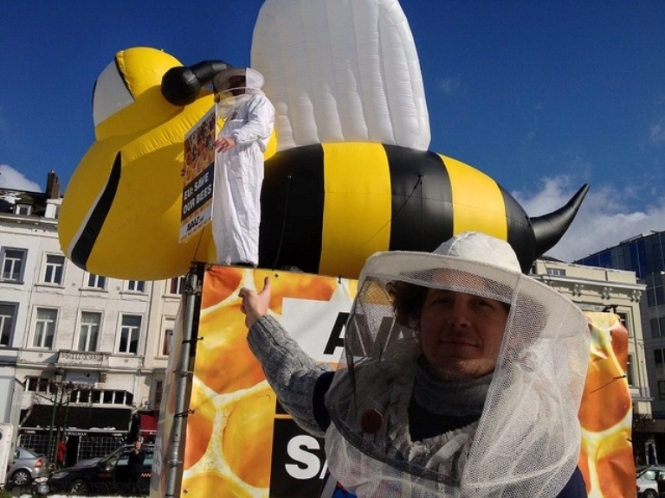 У ЄС заборонять пестицид, який скорочує популяцію бджіл
