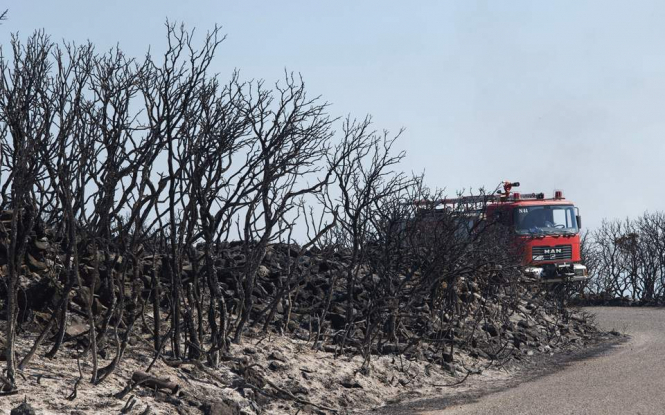 У Греції вогонь знищив 1500 гектарів лісу
