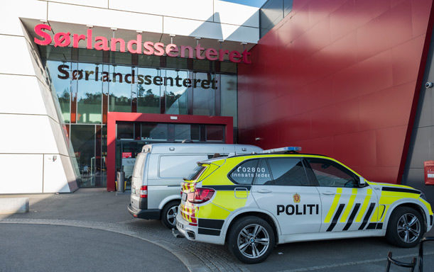 В Норвегии вооруженная девочка напала на работников торгового центра, есть жертвы