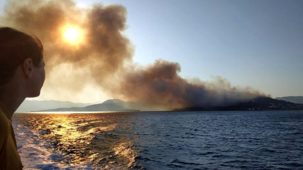 В Греции туристов эвакуировали из-за мощных лесные пожары