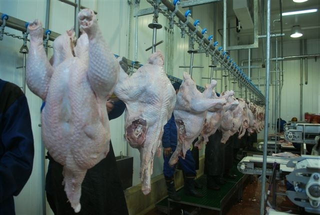 Українську курятину не експортуватимуть в ЄС, - аналітики ринку 