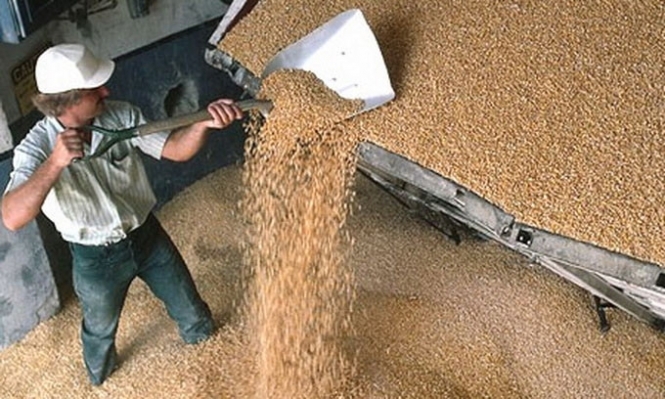 Україна надасть Африці та Азії 125 тис тонн зерна гуманітарної допомоги