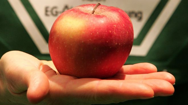 Американку оштрафовали на $ 500 за вынесенное с самолета бесплатное яблоко