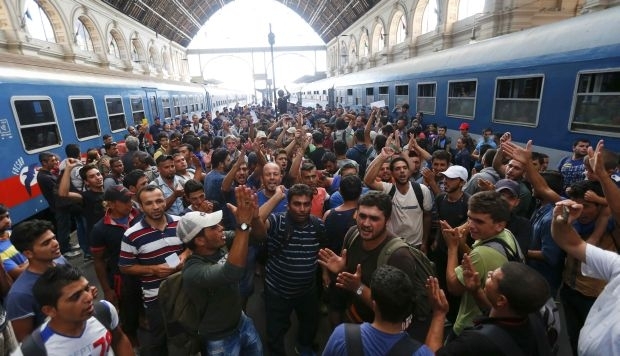 Между Данией и Германией остановлено движение поездов из-за нашествия мигрантов