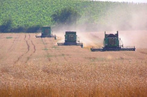 Украина может попасть в тройку мировых экспортеров зерна, - инфографика