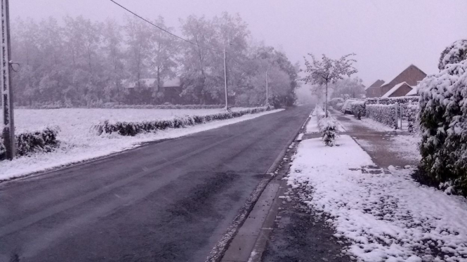 Юг Бельгии засыпало снегом, - ФОТО