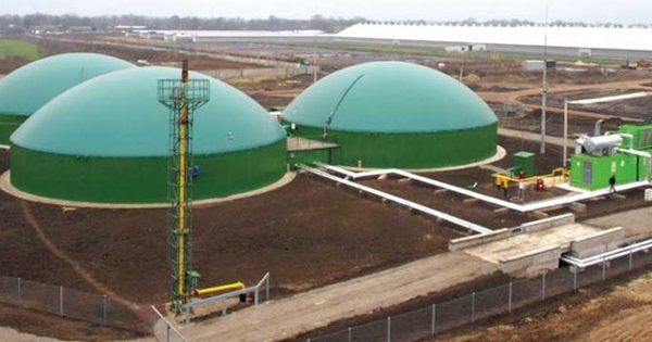 В Хмельницкой области завершают строительство первой в Украине тепловой биоелектростанции