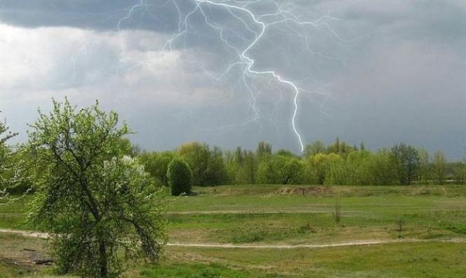 В Запорожской области три человека поразила молния