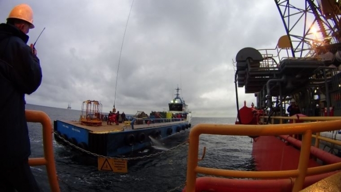 Россия незаконно добывает на шельфе Черного моря 2 млрд кубов газа в год