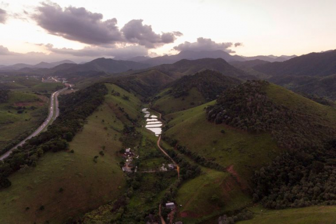 Тропические леса Бразилии начали выделять больше углекислого газа, чем они поглощают