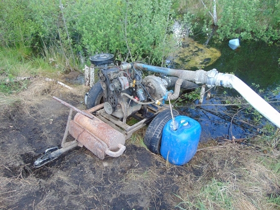 Милиция в Житомирской области за незаконную добычу янтаря задержала шестерых человек