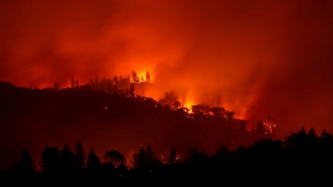 Лесные пожары в Калифорнии: город Парадайс сгорел, 31 человек погиб